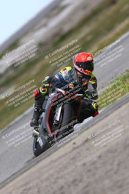 media/Mar-23-2025-TrackDaz (Sun) [[88a7749186]]/A Group/11am (Sunset)/